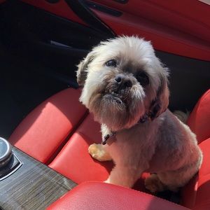 Meet your Posher, Ansley